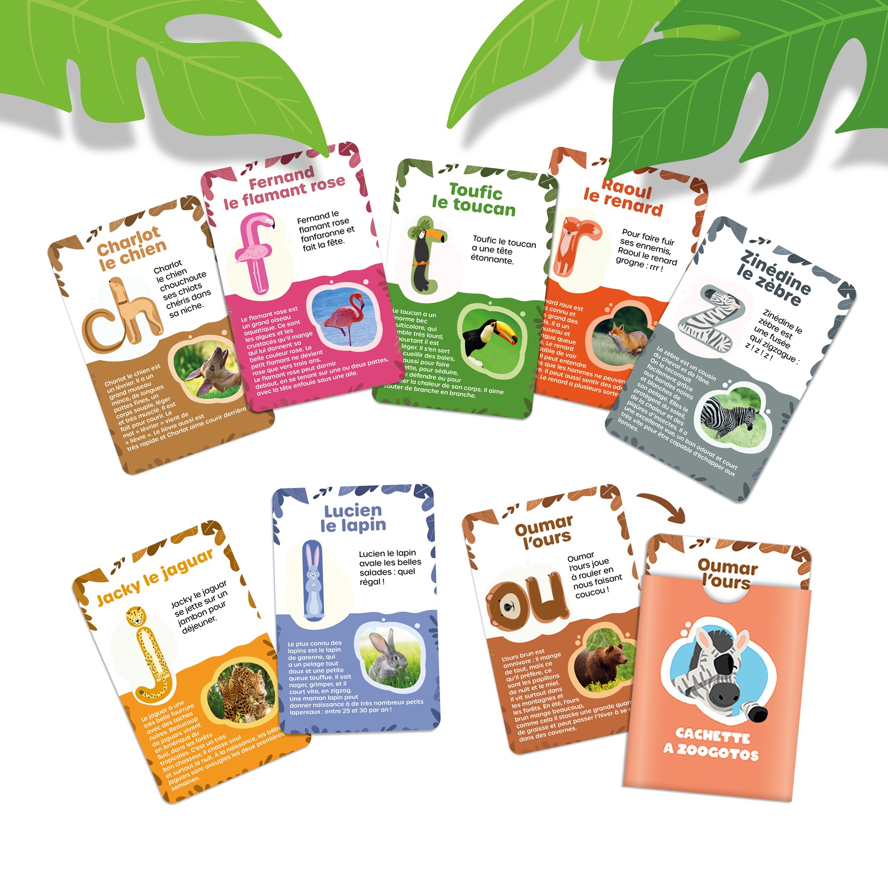 Joue avec les Zoogotos – Image 7